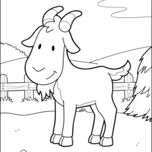 Dibujo para colorear : Cabra en el corral