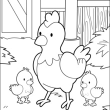 Dibujo para colorear : Pollo madre y sus bebés