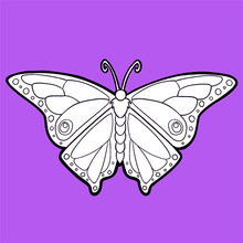 Dibujo para colorear : La mariposa