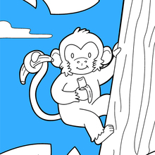 Dibujo para colorear : El Mono