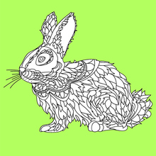 Dibujo para colorear : Conejo