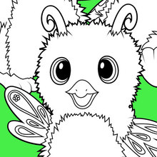 Dibujo para colorear : Hatchimals Burtle, Owlicorn and Bearakeet