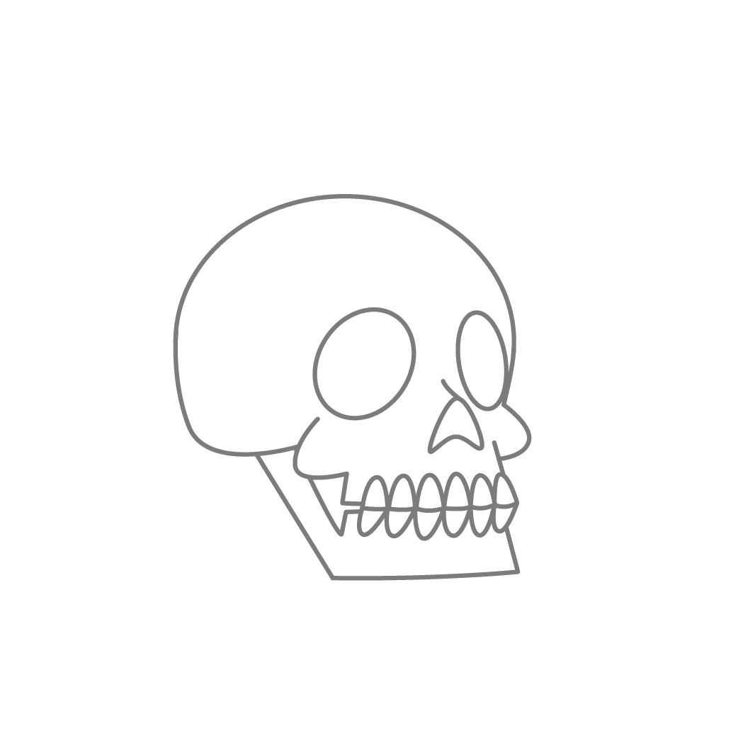Aprender a dibujar el cráneo 