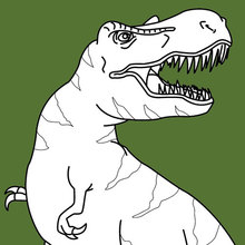 Dibujo para colorear : Tiranosaurio