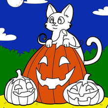 Dibujo para colorear : Gato, Calabaza, Halloween