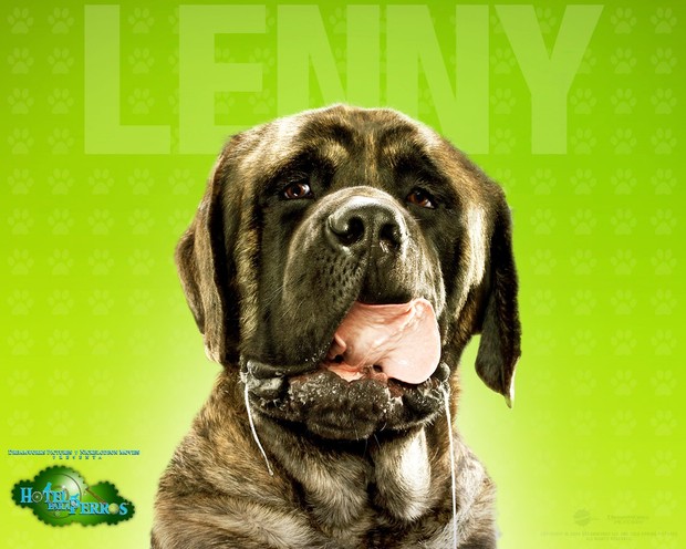 Fondo Hotel para perros: Lenny