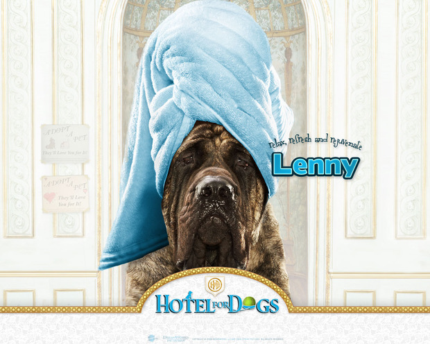 Fondo Hotel para perros: Lenny belleza