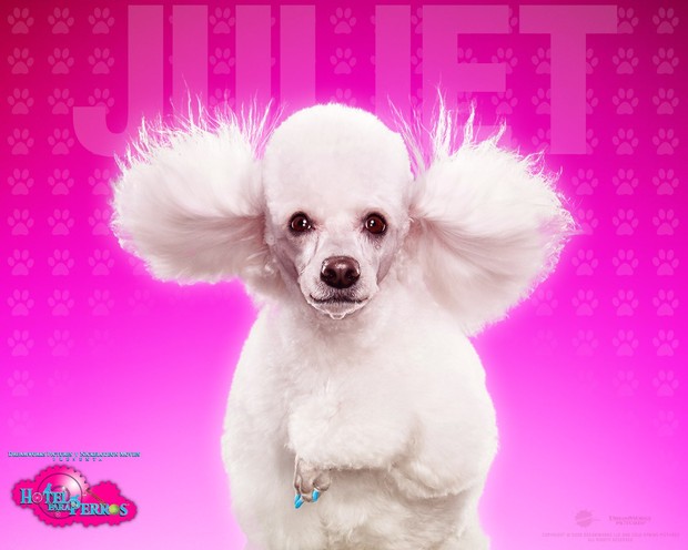 Fondo Hotel para perros: Juliet