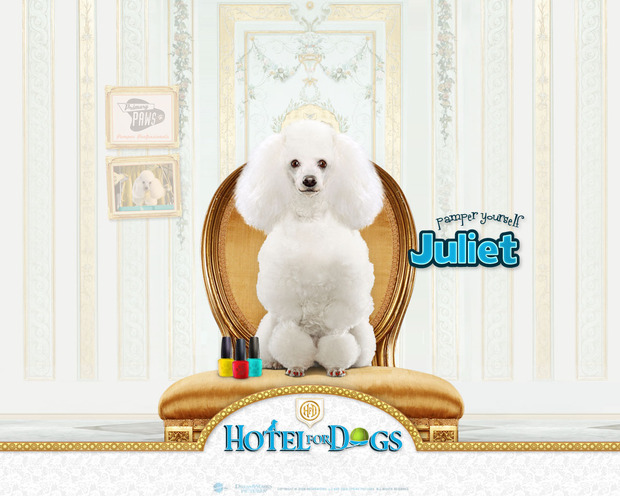 Hotel para perros: Juliet modelo