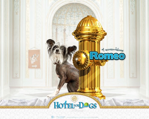 Hotel para perros: Romeo el seductor