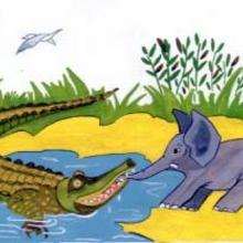 Cocodrilo y elefante - Dibujar Dibujos - Imagenes para niños - Imagenes ANIMALES