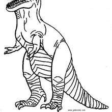 Dibujo para colorear : Dinosaurio Carnívoro
