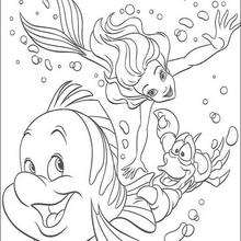 Dibujo para colorear : Flounder y Sebastián
