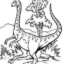 Dinosaurio con pico de avestruz - Dibujos para Colorear y Pintar - Dibujos para colorear ANIMALES - Dibujos para colorear DINOSAURIOS - Colorear DINOSAURIOS