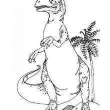 Dibujo tiranosaurio buscando comida - Dibujos para Colorear y Pintar - Dibujos para colorear ANIMALES - Dibujos para colorear DINOSAURIOS - Colorear dinosaurio TIRANOSAURIO
