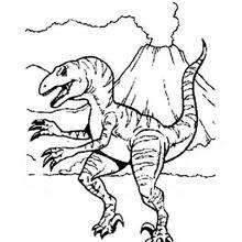 Dibujo Tirex - Dibujos para Colorear y Pintar - Dibujos para colorear ANIMALES - Dibujos para colorear DINOSAURIOS - Colorear dinosaurios TIREX