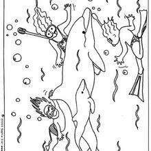 Dibujo de niños nadando con delfines - Dibujos para Colorear y Pintar - Dibujos para colorear ANIMALES - Colorear DELFINES