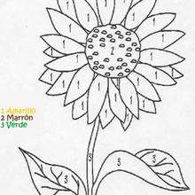 Dibujos para colorear juego de colorear flores 