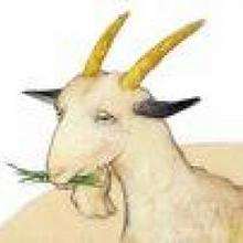 La cabra del señor Seguin - Lecturas Infantiles - Cuentos infantiles - Cuentos clásicos - Los cuentos de Alphonse Daudet