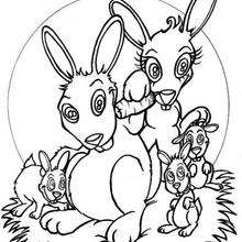 Conejos - Dibujos para Colorear y Pintar - Dibujos para colorear ANIMALES - Dibujos ANIMALES DE GRANJA para colorear - Colorear CONEJOS - Dibujos para colorear e imprimir CONEJOS GRATIS