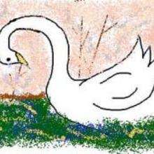 Lágrimas del cisne - Dibujar Dibujos - Dibujos para COPIAR - Otros