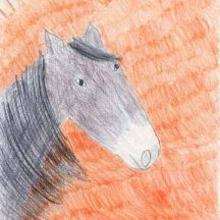 Ilustración : El caballo bajo el sol