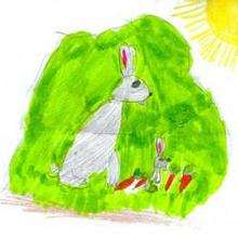 El conejo - Dibujar Dibujos - Dibujos de NIÑOS - Dibujos de ANIMALES - Dibujos de  animales por ORDENADOR
