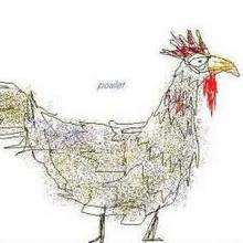 El pollo - Dibujar Dibujos - Dibujos de NIÑOS - Dibujos de ANIMALES - Dibujos de  animales por ORDENADOR