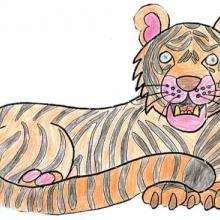 El tigre - Dibujar Dibujos - Dibujos de NIÑOS - Dibujos de ANIMALES - Dibujos de  animales por ORDENADOR
