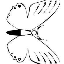 Dibujo para colorear : Mariposa morada