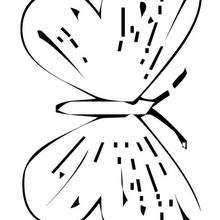 Dibujo para colorear : mariposa morada