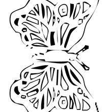 Dibujo para colorear : Mariposa gráfica