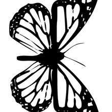 Dibujo para colorear : mariposa monarca