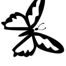 Dibujo para colorear : Mariposa morada sencilla