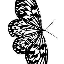 Dibujo para colorear : Mariposa Vanesa de los Cardos