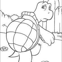 Dibujo para colorear : Verne la tortuga