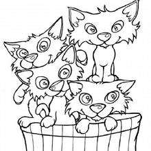 La cesta de los gatos - Dibujos para Colorear y Pintar - Dibujos para colorear ANIMALES - Dibujos GATOS para colorear - Dibujos para colorear GATITOS