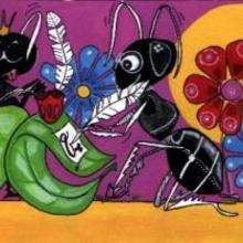 Reina de las hormigas - Dibujar Dibujos - Imagenes para niños - Imagenes ANIMALES
