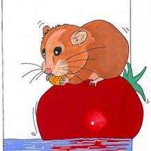Ilustración : Ratón y tomate