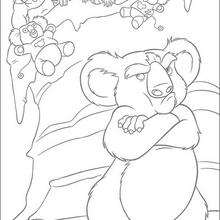 Dibujo para colorear : Nigel y los monos
