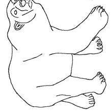 Dibujo para colorear : Un oso blanco