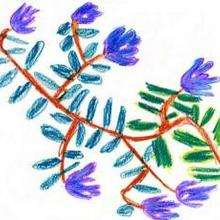 Una flor - Dibujar Dibujos - Dibujos de NIÑOS - Dibujos de la NATURALEZA